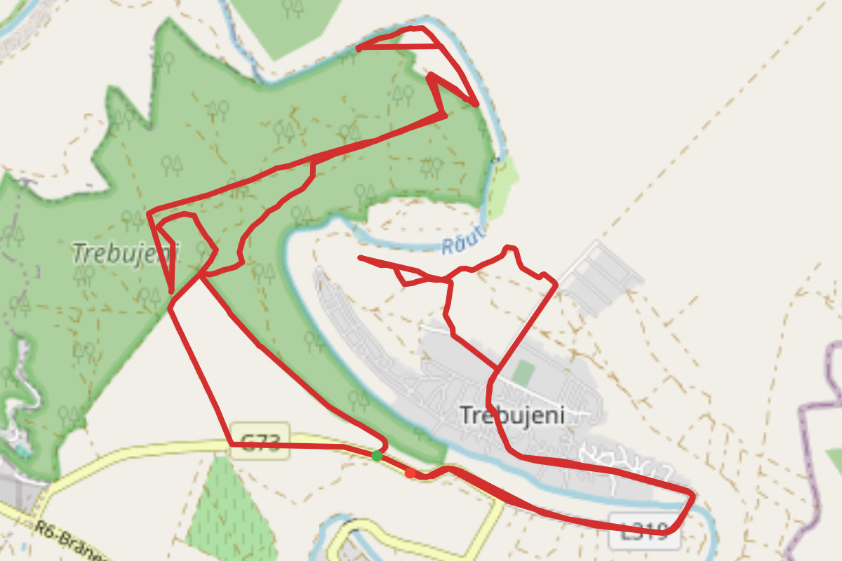 Trebujeni