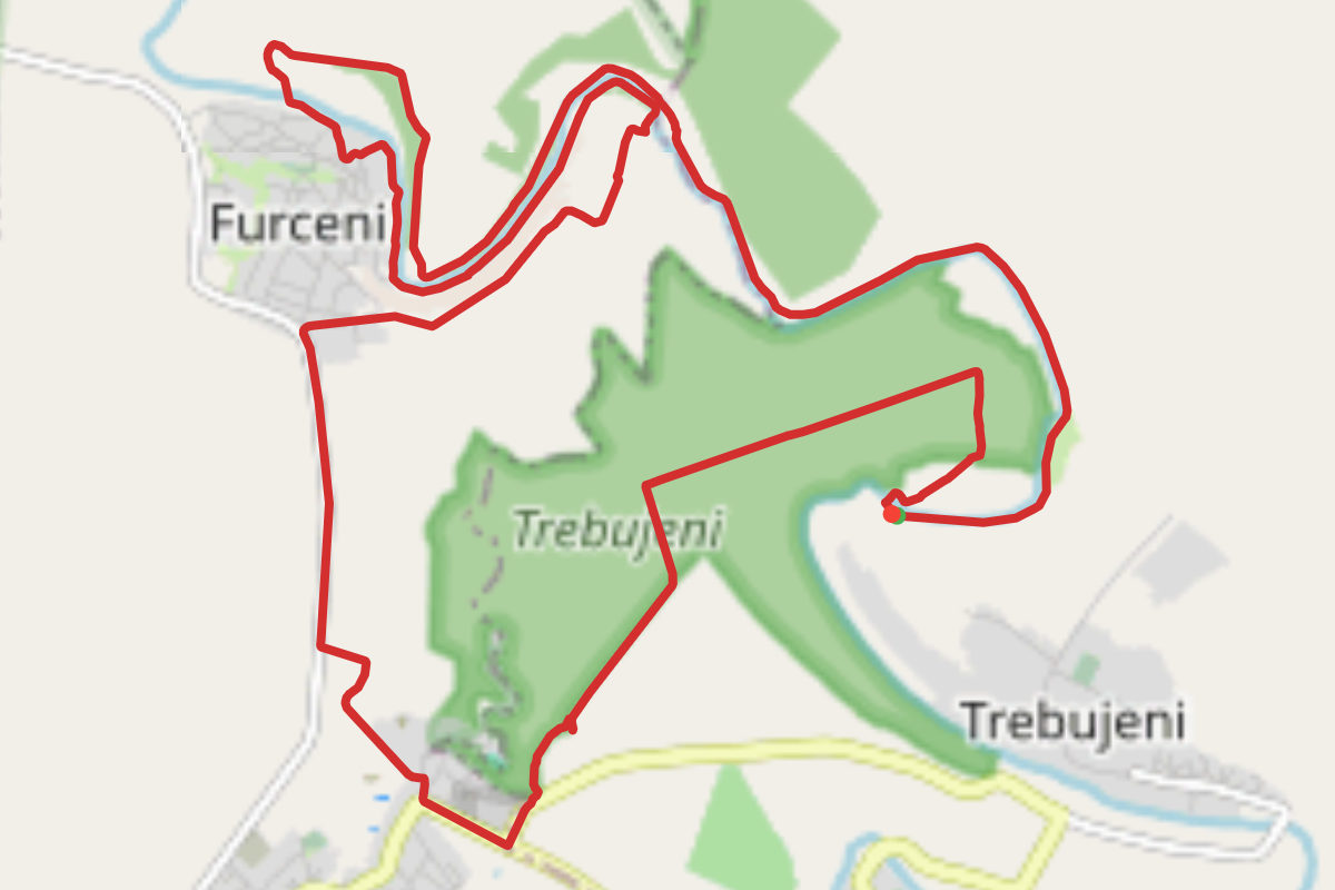 Trebujeni - Furceni