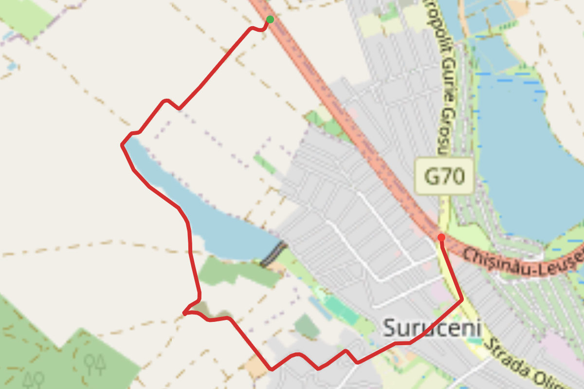 Suruceni