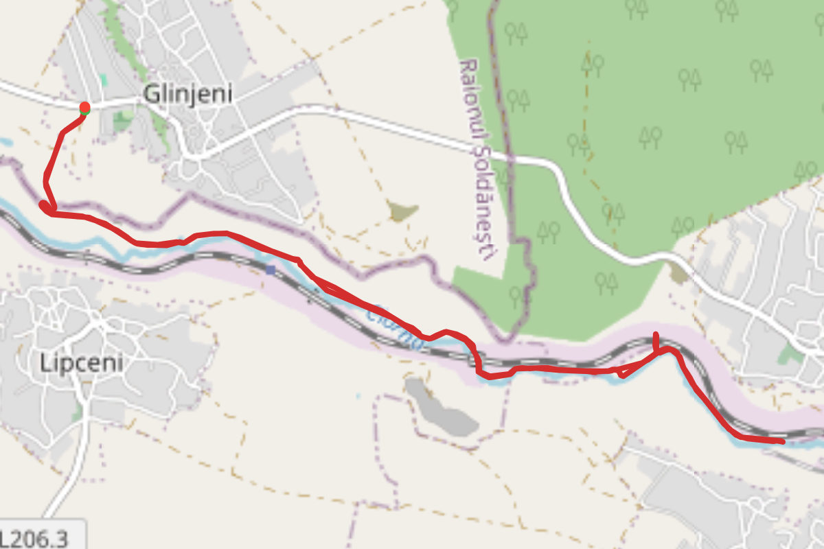 Glinjeni